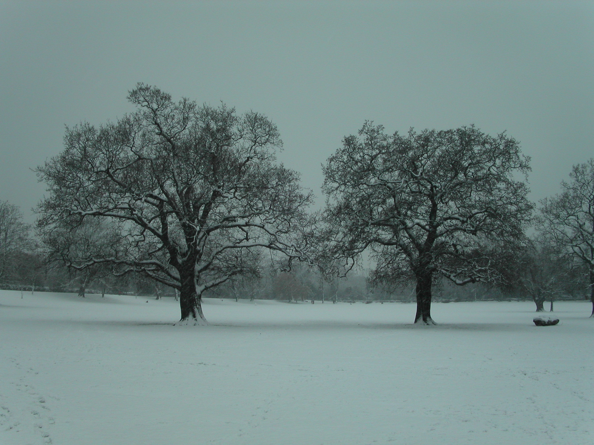 Snow